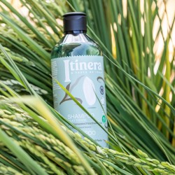 Šampon za kosu za svilenkast sjaj sa fermentisanim pirinčem iz Pavije 370ml